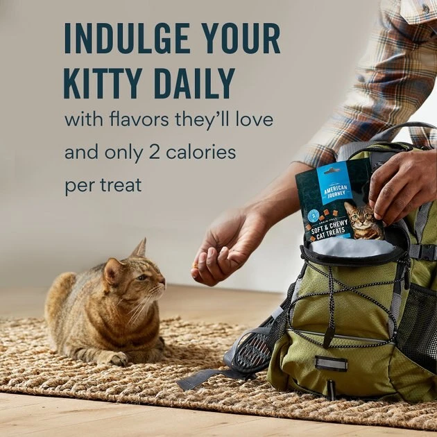 American Journey Salmon Recipe Grain-Free Soft & Chewy Cat Treats, 2 oz American Journey Salmon Recipe Grain-Free Soft & Chewy Cat Treats -American Journey Sales 2024 272119 PT3. SY630 V1620928046