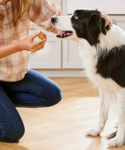 American Journey With Peanut Butter & Banana Grain-Free Soft-Baked Dog Treats, 8-oz bag 7 American Journey With Peanut Butter & Banana Grain-Free Soft-Baked Dog Treats, 8-oz bag -American Journey Sales 2024 280804 PT5. SY630 V1626205919