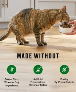 American Journey Grain-Free Limited Ingredient Duck & Pea Recipe Dry Cat Food, 12lb bag 6 American Journey Grain-Free Limited Ingredient Duck & Pea Recipe Dry Cat Food, 12lb bag -American Journey Sales 2024 285447 PT4. SY630 V1628173896