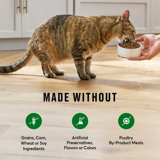 American Journey Grain-Free Limited Ingredient Duck & Pea Recipe Dry Cat Food, 12lb bag American Journey Grain-Free Limited Ingredient Duck & Pea Recipe Dry Cat Food, 12lb bag -American Journey Sales 2024 285447 PT4. SY630 V1628173896