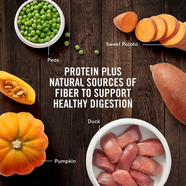 American Journey Grain-Free Limited Ingredient Duck & Pea Recipe Dry Cat Food, 12lb bag American Journey Grain-Free Limited Ingredient Duck & Pea Recipe Dry Cat Food, 12lb bag -American Journey Sales 2024 285447 PT7. SY630 V1628173882