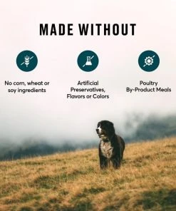 American Journey Active Life Formula Chicken & Garden Vegetables Recipe Canned Dog Food, 12.5-oz, case of 12 -American Journey Sales 2024 286573 PT3. SY630 V1632755563