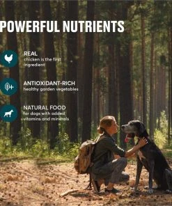 American Journey Active Life Formula Chicken & Garden Vegetables Recipe Canned Dog Food, 12.5-oz, case of 12 -American Journey Sales 2024 286573 PT4. SY630 V1632754618