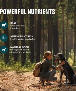 American Journey Active Life Formula Lamb & Garden Vegetables Recipe Canned Dog Food, 12.5-oz, case of 12 -American Journey Sales 2024 286575 PT4. SY630 V1632755915