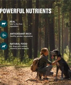 American Journey Active Life Formula Beef & Garden Vegetables Recipe Canned Dog Food, 12.5-oz, case of 12 -American Journey Sales 2024 286577 PT4. SY630 V1632754871