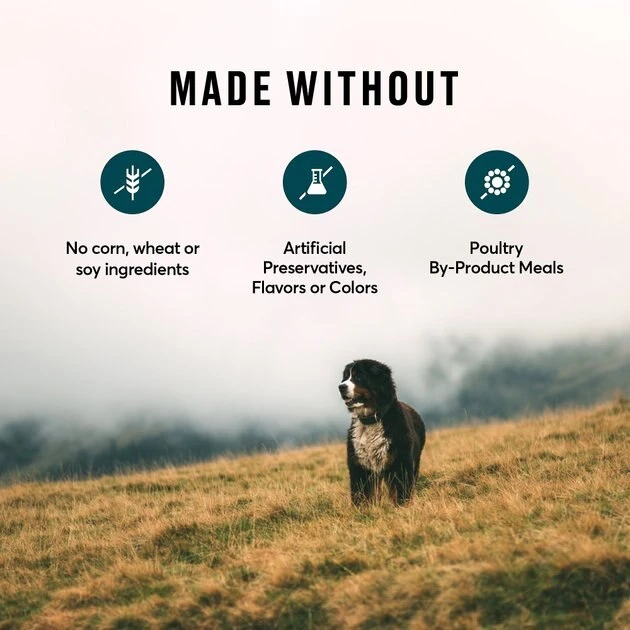 American Journey Active Life Formula Poultry & Beef Variety Pack Canned Dog Food, 12.5-oz, case of 12 American Journey Active Life Formula Poultry & Beef Variety Pack Canned Dog Food, 12.5-oz, case of 12 -American Journey Sales 2024 286581 PT4. SY630 V1629146564