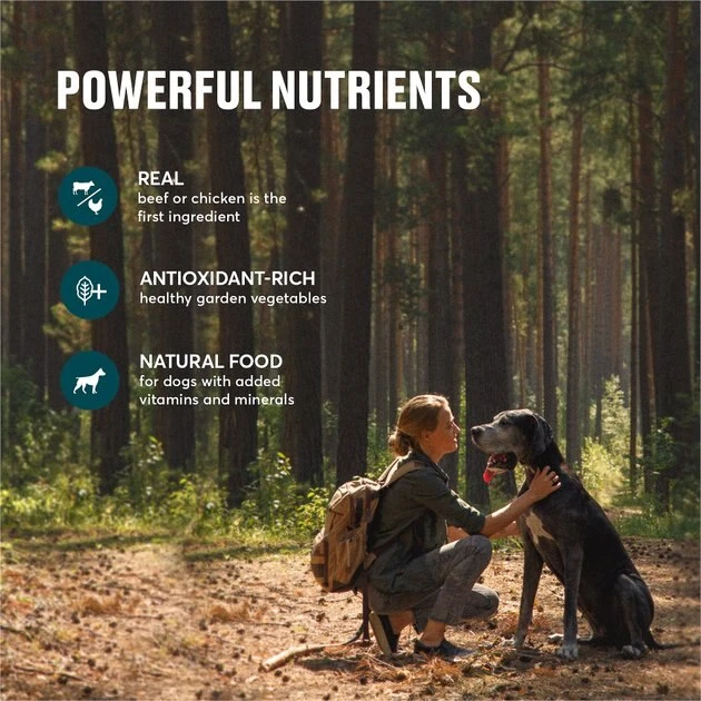 American Journey Active Life Formula Poultry & Beef Variety Pack Canned Dog Food, 12.5-oz, case of 12 American Journey Active Life Formula Poultry & Beef Variety Pack Canned Dog Food, 12.5-oz, case of 12 -American Journey Sales 2024 286581 PT5. SY630 V1629147722