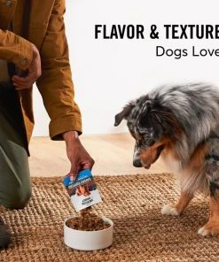 American Journey Savory Toppers Beef Recipe in Gravy Grain-Free Dog Food Topper, 3-oz pouches, case of 24 -American Journey Sales 2024 286953 PT3. SY630 V1628536078