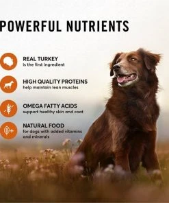 American Journey Turkey Recipe Grain-Free Canned Dog Food, 12.5-oz 5 American Journey Turkey Recipe Grain-Free Canned Dog Food, 12.5-oz -American Journey Sales 2024 287338 PT3. SY630 V1649970109
