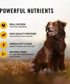 American Journey Chicken & Salmon Recipe Grain-Free Canned Dog Food -American Journey Sales 2024 287341 PT3. SY630 V1649265720