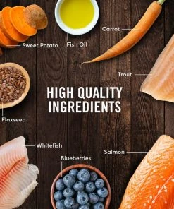 American Journey Grain-Free with Salmon, Whitefish & Trout Dry Dog Food, 24-lb bag -American Journey Sales 2024 291324 PT5. SY630 V1625086081