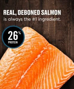 American Journey Grain-Free with Salmon, Whitefish & Trout Dry Dog Food, 24-lb bag -American Journey Sales 2024 291324 PT6. SY630 V1625086088