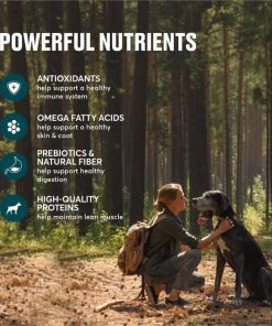 American Journey Grain-Free with Lamb, Venison & Beef Dry Dog Food, 24-lb bag 6 American Journey Grain-Free with Lamb, Venison & Beef Dry Dog Food, 24-lb bag -American Journey Sales 2024 291328 PT4. SY630 V1625086052