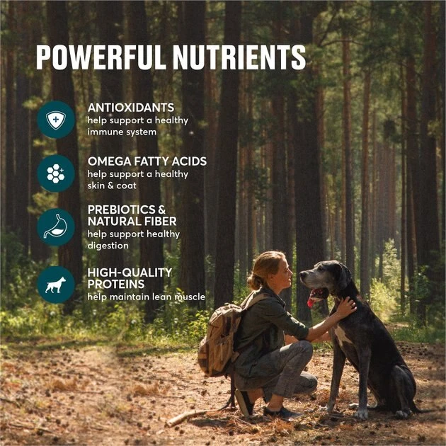 American Journey Grain-Free with Lamb, Venison & Beef Dry Dog Food, 24-lb bag American Journey Grain-Free with Lamb, Venison & Beef Dry Dog Food, 24-lb bag -American Journey Sales 2024 291328 PT4. SY630 V1625086052