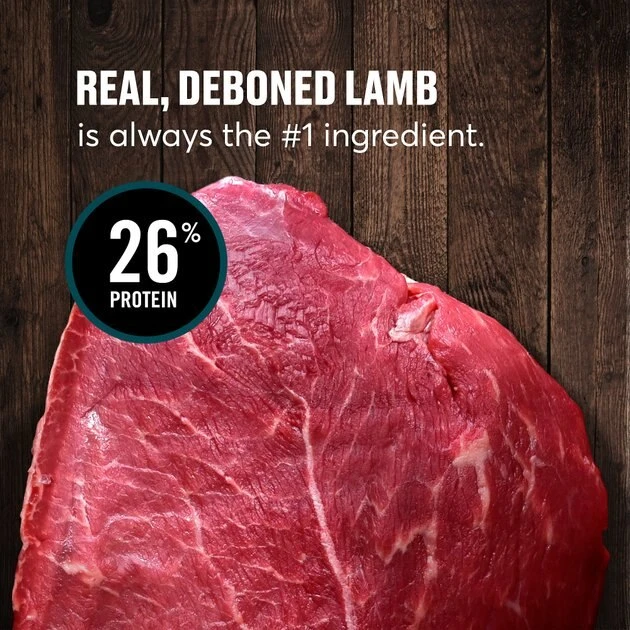 American Journey Grain-Free with Lamb, Venison & Beef Dry Dog Food, 24-lb bag American Journey Grain-Free with Lamb, Venison & Beef Dry Dog Food, 24-lb bag -American Journey Sales 2024 291328 PT6. SY630 V1625086059