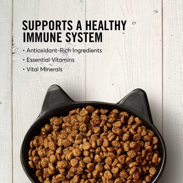 American Journey Chicken Recipe + Blue Buffalo Wilderness Chicken Recipe Grain-Free Dry Cat Food American Journey||Blue Buffalo American Journey Chicken Recipe + Blue Buffalo Wilderness Chicken Recipe Grain-Free Dry Cat Food -American Journey Sales 2024 292598 PT3. SY630 V1619982727