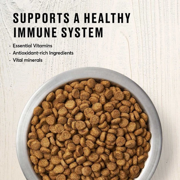 American Journey Indoor Recipe with Chicken Grain-Free Dry Food + Blue Buffalo Wilderness Indoor Chicken Recipe Grain-Free Dry Cat Food American Journey||Blue Buffalo American Journey Indoor Recipe with Chicken Grain-Free Dry Food + Blue Buffalo Wilderness Indoor Chicken Recipe Grain-Free Dry Cat Food -American Journey Sales 2024 292602 PT3. SY630 V1619986049