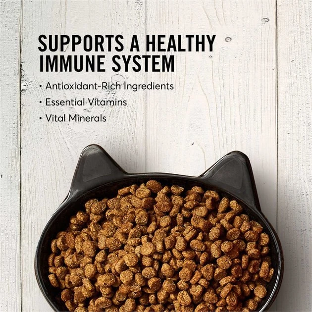 American Journey Salmon Recipe Grain-Free Dry Food + Frisco Cat Tracks Butterfly Cat Toy American Journey||Frisco American Journey Salmon Recipe Grain-Free Dry Food + Frisco Cat Tracks Butterfly Cat Toy -American Journey Sales 2024 292634 PT3. SY630 V1619979426