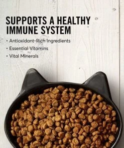 American Journey||Frisco American Journey Turkey & Chicken Recipe Grain-Free Dry Food + Frisco Cactus Cat Scratching Post, 22-in 5 American Journey||Frisco American Journey Turkey & Chicken Recipe Grain-Free Dry Food + Frisco Cactus Cat Scratching Post, 22-in -American Journey Sales 2024 292646 PT3. SY630 V1619980344