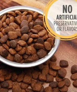 Iams||American Journey Iams ProActive Health Smart Puppy Large Breed Dry Food, 30.6-lb bag + American Journey Beef Recipe Grain-Free Soft & Chewy Training Bits Dog Treats -American Journey Sales 2024 293260 PT3. SY630 V1619983340