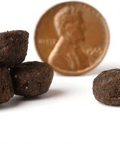 VICTOR||American Journey VICTOR Purpose Active Dog & Puppy Formula Grain-Free Dry Food + American Journey Beef Recipe Grain-Free Soft & Chewy Training Bits Dog Treats -American Journey Sales 2024 293974 PT3. SY630 V1620089250