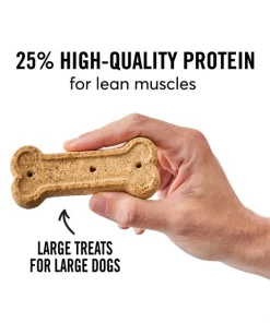 American Journey Active Life Chicken & Rice Flavor Large Biscuit Dog Treats, 15lb box 4 American Journey Active Life Chicken & Rice Flavor Large Biscuit Dog Treats, 15lb box -American Journey Sales 2024 297544 PT2. SY630 V1632493275