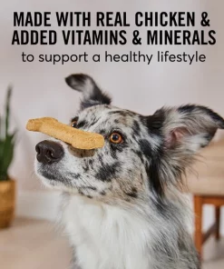 American Journey Active Life Chicken & Rice Flavor Large Biscuit Dog Treats, 15lb box 5 American Journey Active Life Chicken & Rice Flavor Large Biscuit Dog Treats, 15lb box -American Journey Sales 2024 297544 PT3. SY630 V1632493274