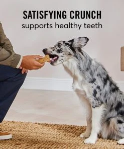 American Journey Active Life Chicken & Rice Flavor Large Biscuit Dog Treats, 15lb box 8 American Journey Active Life Chicken & Rice Flavor Large Biscuit Dog Treats, 15lb box -American Journey Sales 2024 297544 PT7. SY630 V1632493282