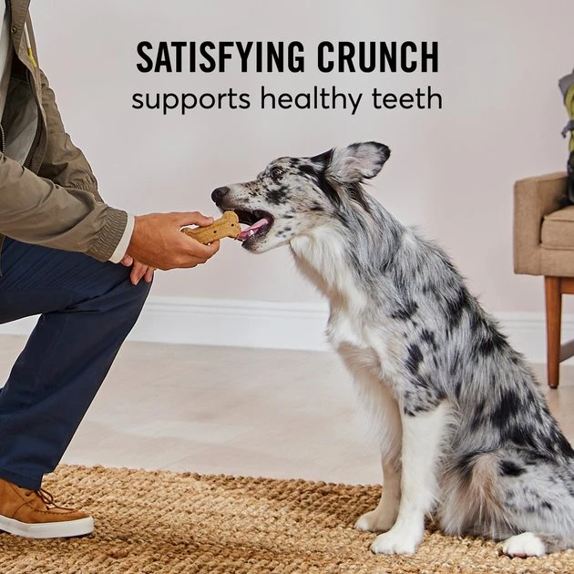 American Journey Active Life Chicken & Rice Flavor Large Biscuit Dog Treats, 15lb box American Journey Active Life Chicken & Rice Flavor Large Biscuit Dog Treats, 15lb box -American Journey Sales 2024 297544 PT7. SY630 V1632493282