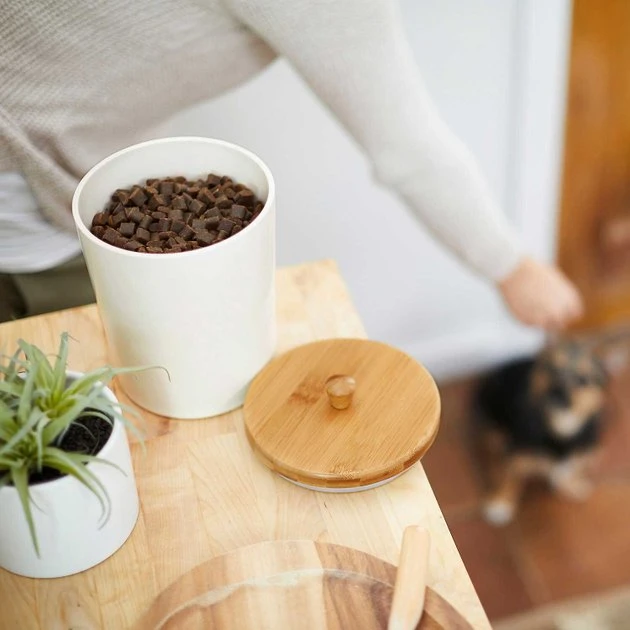 American Journey 100% Chicken Freeze-Dried Grain-Free Cat Treats, 2-oz bag + Frisco Melamine Dog & Cat Treat Jar with Bamboo Lid, 8 Cups American Journey||Frisco American Journey 100% Chicken Freeze-Dried Grain-Free Cat Treats + Frisco Melamine Dog & Cat Treat Jar with Bamboo Lid, 8 Cups -American Journey Sales 2024 297660 PT7. SY630 V1623339151