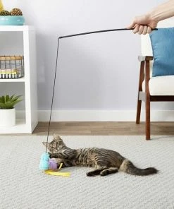 American Journey||Frisco American Journey 100% Chicken Freeze-Dried Grain-Free Cat Treats, 5-oz bag + Frisco Bird Teaser with Feathers Cat Toy, Blue 9 American Journey||Frisco American Journey 100% Chicken Freeze-Dried Grain-Free Cat Treats, 5-oz bag + Frisco Bird Teaser with Feathers Cat Toy, Blue -American Journey Sales 2024 297664 PT7. SY630 V1621266747