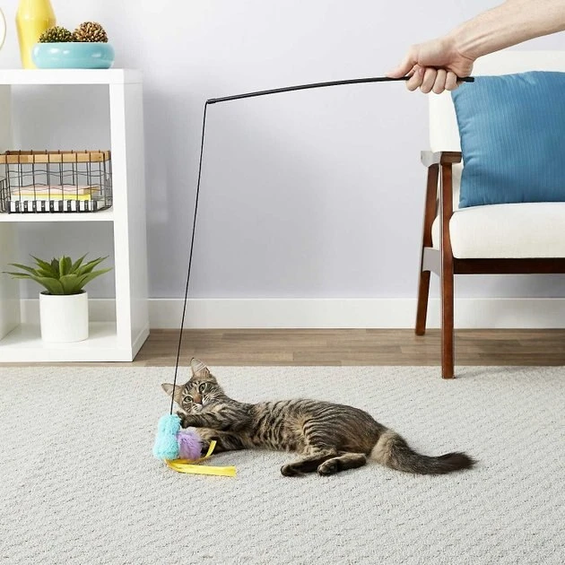 American Journey 100% Chicken Freeze-Dried Grain-Free Cat Treats, 5-oz bag + Frisco Bird Teaser with Feathers Cat Toy, Blue American Journey||Frisco American Journey 100% Chicken Freeze-Dried Grain-Free Cat Treats, 5-oz bag + Frisco Bird Teaser with Feathers Cat Toy, Blue -American Journey Sales 2024 297664 PT7. SY630 V1621266747