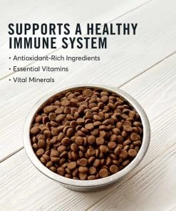 American Journey Active Life Formula Puppy Chicken, Brown Rice & Vegetables Recipe Dog Food, 28-lb bag + American Journey Beef Recipe Grain-Free Soft & Chewy Training Bits Dog Treats, 4-oz bag -American Journey Sales 2024 297674 PT3. SY630 V1621288042