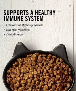 American Journey||Blue Buffalo American Journey Duck Recipe Grain-Free Dry Cat Food, 5-lb bag + Blue Buffalo Wilderness Duck Recipe Grain-Free Dry Cat Food, 5-lb bag 5 American Journey||Blue Buffalo American Journey Duck Recipe Grain-Free Dry Cat Food, 5-lb bag + Blue Buffalo Wilderness Duck Recipe Grain-Free Dry Cat Food, 5-lb bag -American Journey Sales 2024 297694 PT3. SY630 V1623254842