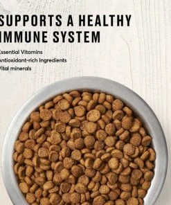 American Journey Kitten Chicken Recipe Grain-Free Dry Cat Food, 5-lb bag + American Journey Kitten Minced Chicken Recipe in Gravy Grain-Free Canned Cat Food, 3-oz, case of 24 -American Journey Sales 2024 297740 PT3. SY630 V1621302142