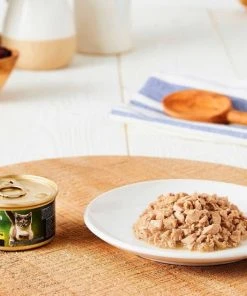 American Journey Kitten Chicken Recipe Grain-Free Dry Cat Food, 5-lb bag + American Journey Kitten Minced Chicken Recipe in Gravy Grain-Free Canned Cat Food, 3-oz, case of 24 -American Journey Sales 2024 297740 PT6. SY630 V1621288948