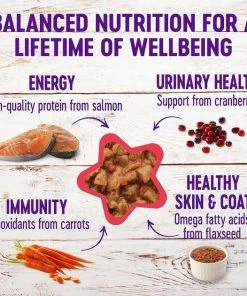 American Journey||Wellness American Journey Minced Chicken & Salmon Recipe in Gravy Grain-Free Canned Cat Food, 3-oz, case of 24 + Wellness Complete Health Natural Minced Salmon Dinner Grain-Free Canned Cat Food, 3-oz, case of 24 -American Journey Sales 2024 297756 PT5. SY630 V1621289562