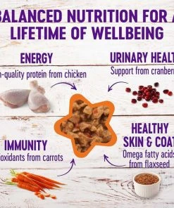 American Journey||Wellness American Journey Minced Chicken Recipe in Gravy Grain-Free Canned Cat Food, 3-oz, case of 24 + Wellness Minced Chicken Dinner Grain-Free Canned Cat Food, 3-oz, case of 24 7 American Journey||Wellness American Journey Minced Chicken Recipe in Gravy Grain-Free Canned Cat Food, 3-oz, case of 24 + Wellness Minced Chicken Dinner Grain-Free Canned Cat Food, 3-oz, case of 24 -American Journey Sales 2024 297764 PT5. SY630 V1623255767