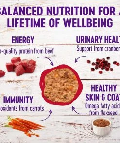 American Journey||Wellness American Journey Pate Beef & Chicken Recipe Grain-Free Canned Cat Food, 3-oz, case of 24 + Wellness Complete Health Adult Beef & Chicken Formula Grain-Free Canned Cat Food, 3-oz, case of 24 7 American Journey||Wellness American Journey Pate Beef & Chicken Recipe Grain-Free Canned Cat Food, 3-oz, case of 24 + Wellness Complete Health Adult Beef & Chicken Formula Grain-Free Canned Cat Food, 3-oz, case of 24 -American Journey Sales 2024 297786 PT5. SY630 V1621261051