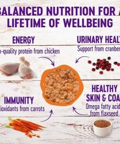 American Journey||Wellness American Journey Pate Chicken Recipe Grain-Free Canned Cat Food, 12.5-oz, case of 12 + Wellness Complete Health Pate Chicken Entree Grain-Free Canned Cat Food, 12.5-oz, case of 12 -American Journey Sales 2024 297788 PT5. SY630 V1621261059