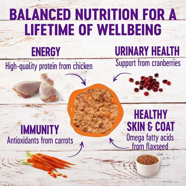 American Journey Pate Poultry Variety Pack Grain-Free Canned Cat Food, 12.5-oz, case of 12 + Wellness Complete Health Poultry Lovers Pate Variety Pack Grain-Free Canned Cat Food, 5.5-oz, case of 30 American Journey||Wellness American Journey Pate Poultry Variety Pack Grain-Free Canned Cat Food, 12.5-oz, case of 12 + Wellness Complete Health Poultry Lovers Pate Variety Pack Grain-Free Canned Cat Food, 5.5-oz, case of 30 -American Journey Sales 2024 297796 PT6. SY630 V1623251549