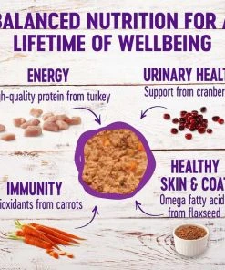 American Journey||Wellness American Journey Pate Turkey & Salmon Recipe Grain-Free Canned Cat Food, 12.5-oz, case of 12 + Wellness Complete Health Turkey & Salmon Formula Grain-Free Canned Cat Food, 12.5-oz, case of 12 -American Journey Sales 2024 297800 PT5. SY630 V1621266445