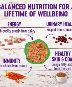 American Journey||Wellness American Journey Pate Turkey Recipe Grain-Free Canned Cat Food, 12.5-oz, case of 12 + Wellness Complete Health Turkey Formula Grain-Free Canned Cat Food, 12.5-oz, case of 12 -American Journey Sales 2024 297802 PT5. SY630 V1623253662