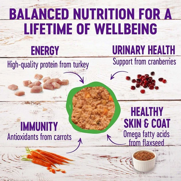 American Journey Pate Turkey Recipe Grain-Free Canned Cat Food, 3-oz, case of 24 + Wellness Complete Health Turkey Formula Grain-Free Canned Cat Food, 3-oz, case of 24 American Journey||Wellness American Journey Pate Turkey Recipe Grain-Free Canned Cat Food, 3-oz, case of 24 + Wellness Complete Health Turkey Formula Grain-Free Canned Cat Food, 3-oz, case of 24 -American Journey Sales 2024 297804 PT5. SY630 V1623251862