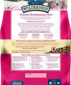 American Journey||Blue Buffalo American Journey Salmon Recipe Grain-Free Dry Cat Food, 5-lb bag + Blue Buffalo Wilderness Salmon Recipe Grain-Free Dry Cat Food, 5-lb bag -American Journey Sales 2024 297812 PT5. SY630 V1621306048