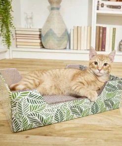 American Journey||Frisco American Journey Salmon Recipe Grain-Free Dry Cat Food, 12-lb bag + Frisco Step-In Cat Scratcher Toy with Catnip, Tropical Palms 8 American Journey||Frisco American Journey Salmon Recipe Grain-Free Dry Cat Food, 12-lb bag + Frisco Step-In Cat Scratcher Toy with Catnip, Tropical Palms -American Journey Sales 2024 297820 PT6. SY630 V1623252150