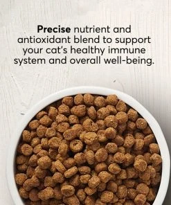 American Journey Indoor Cat Total Health Formula Chicken & Brown Rice Recipe Dry Cat Food, 15lb bag -American Journey Sales 2024 299537 PT2. SY630 V1630081016