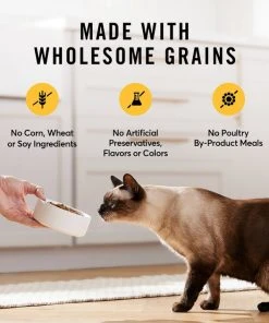 American Journey Indoor Cat Total Health Formula Chicken & Brown Rice Recipe Dry Cat Food, 15lb bag -American Journey Sales 2024 299537 PT4. SY630 V1630441580