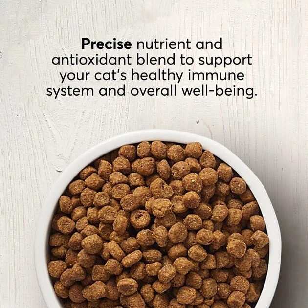 American Journey Sensitive Stomach Total Health Formula Salmon & Brown Rice Recipe Dry Cat Food, 15lb bag American Journey Sensitive Stomach Total Health Formula Salmon & Brown Rice Recipe Dry Cat Food, 15lb bag -American Journey Sales 2024 299544 PT2. SY630 V1630080685