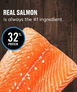 American Journey Sensitive Stomach Total Health Formula Salmon & Brown Rice Recipe Dry Cat Food, 15lb bag 5 American Journey Sensitive Stomach Total Health Formula Salmon & Brown Rice Recipe Dry Cat Food, 15lb bag -American Journey Sales 2024 299544 PT3. SY630 V1630080704